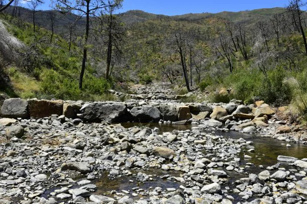 rio malaga